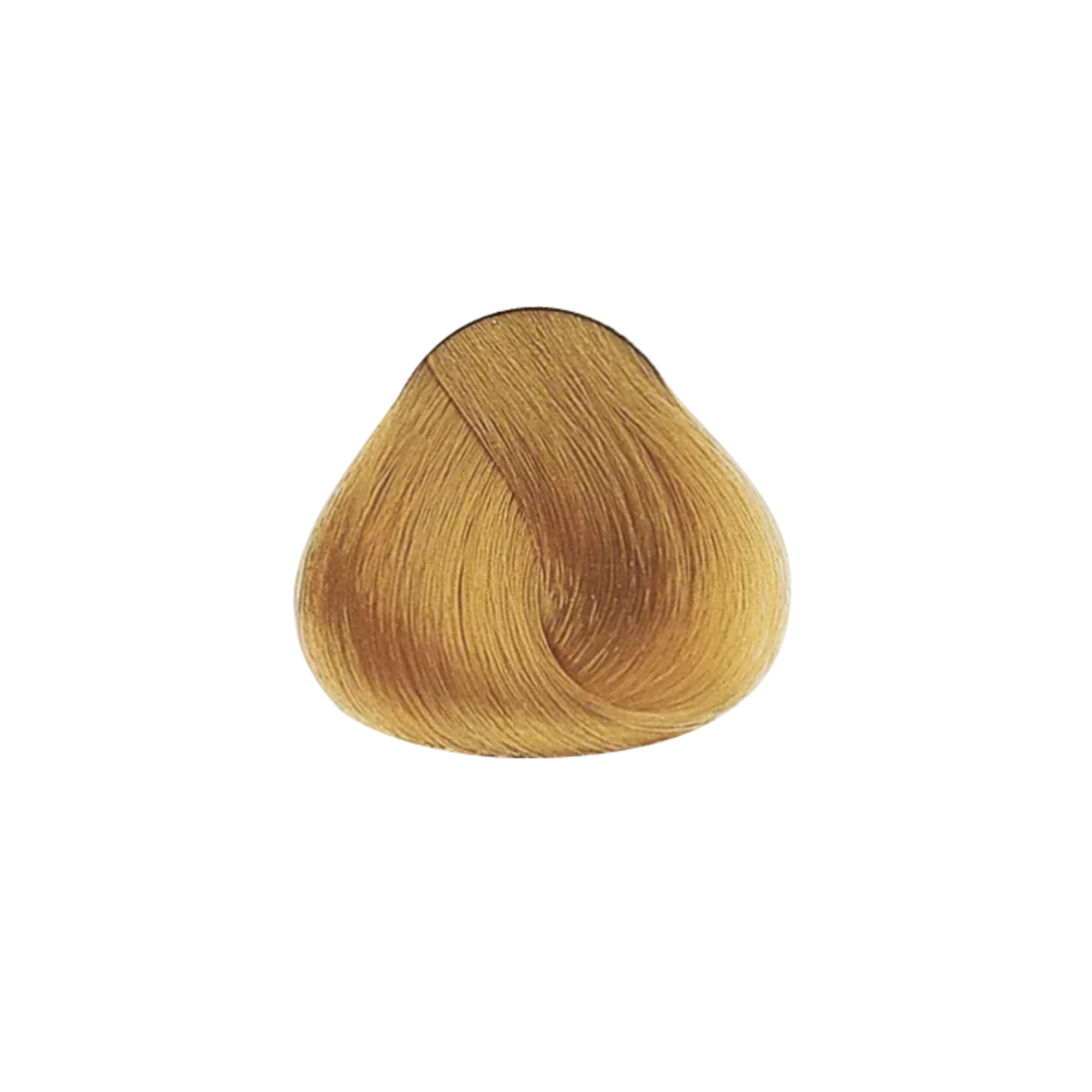 9.3 LOURO CLARÍSSIMO DOURADO